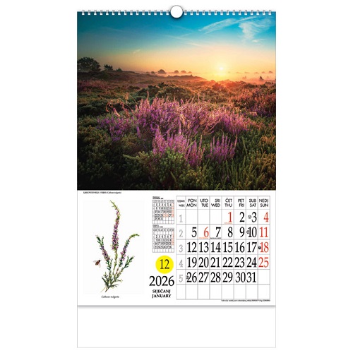 Kalendar "Ljekovito bilje"